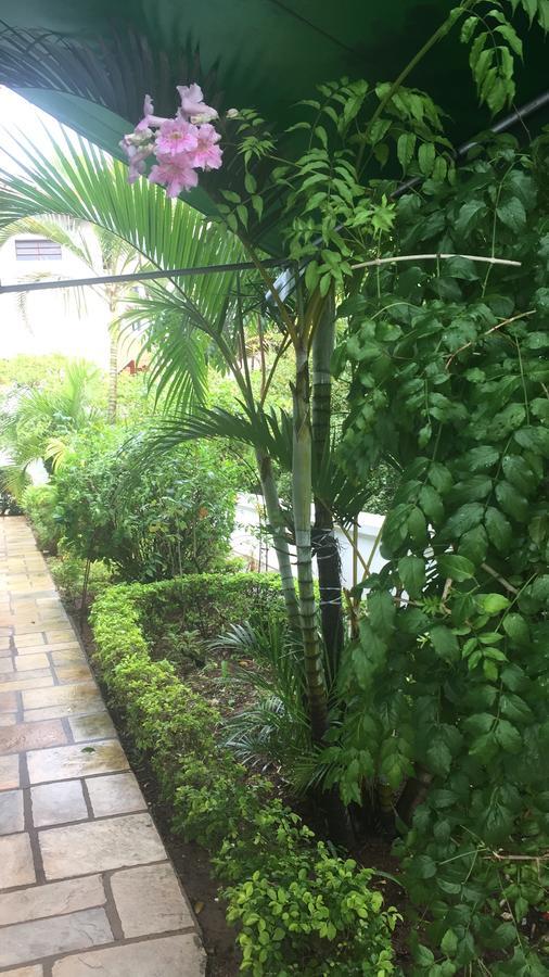 Paraiso Dentro Da Cidade Serra Negra  Ngoại thất bức ảnh
